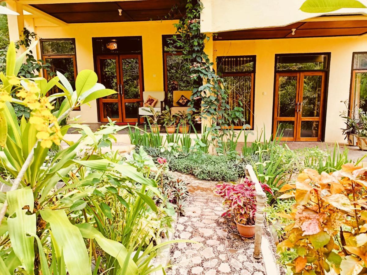 Tangkoko Sanctuary Villa Bitung Exterior photo
