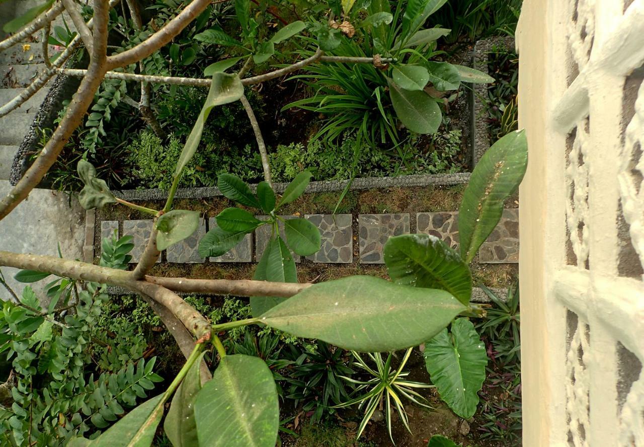 Tangkoko Sanctuary Villa Bitung Exterior photo